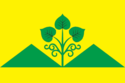 Flag of Tolon