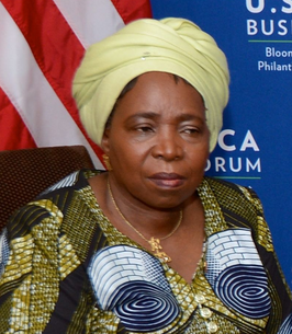 Dlamini-Zuma in 2014