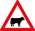 Cattle Crossing