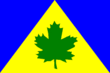 Vlag