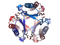 4-oxalocrotonate tautomerase PDB: 1BJP​