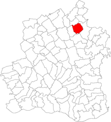 Location in Teleorman County