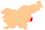 Location of the Municipality of Brezice in Slovenia