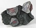 Üç gemmy kuvars kristalleri içeren parlak pas-kırmızı inklüzyonlar Hematit, bir alanda sparkly siyah speküler Hematit