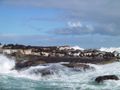 Duiker Island