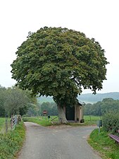 Sint-Annakapel aan de Kerkdel/Schilbergerweg