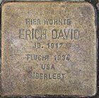 Stolperstein für Erich David