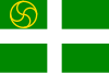 Flag of Arrieta