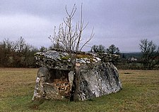 Dolmen du Coustalou