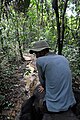 Dschungel-Patrouille nahe Tangkahan