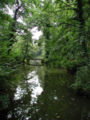 Kanal im Stadtwald