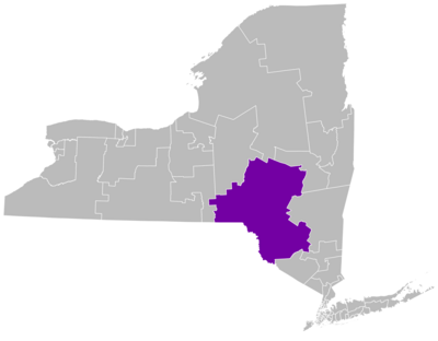 NY Senate District 51