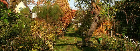 Herbstimpressionen im Pfarrgarten Saxdorf (November 2014)