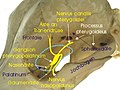 Hình xem trước của phiên bản lúc 15:21, ngày 18 tháng 8 năm 2007