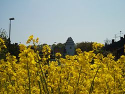 Hedeskoga church behind a field of rapeseed.