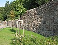 Stadtmauer mit Wallanlage