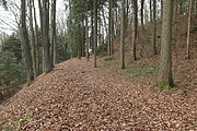 Bild 5: Zu einer Terrasse verflachter Ringwallabschnitt an der Südwestseite des Bergkegels (Dezember 2013)