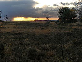 Groot Schietveld