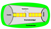 Schema des Dual Court Tombs