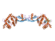 2gh0: Growth factor/receptor complex