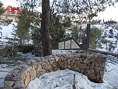 The Raoul Wallenberg memorial tree on the road to Yad Vashem, Jerusalem