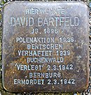 David Bartfeld