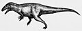 Acrocanthosaurus