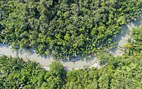 Die Sundarbans