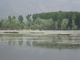 Boten op het Wularmeer