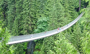 Capilano Suspension Bridge, eine Seilbrücke