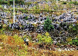 Đá tai mèo và hố sụt do karst trong đá vôi, xã Sính Lủng Hà Giang