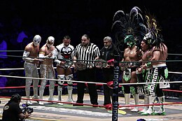 A masked wrestler posing on the ring ropes during the match, pointing to his chest.