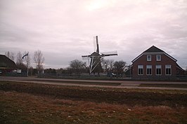 Molen van Makkum (2009)