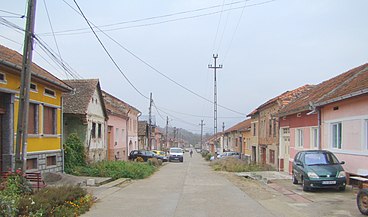 Plugova