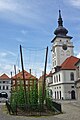 Žatec und die Landschaft des Saazer Hopfens