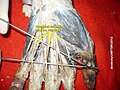 Common palmar digital nerves