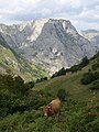 Blick auf Bulnes