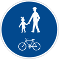 C 9a: Shared pedestrian and cycle path