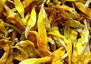 Taglilien (Gelbe Taglilie, Hemerocallis citrina, Hemerocallis esculenta, Hemerocallis hakuunensis) (junge Sprossen, Blätter, Blüten, Blütenknospen und Wurzeln)
