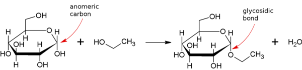 Ethyl-glucoside