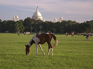 View of the Victoria Memorial Hall