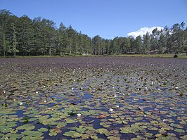 Het gletsjermeer Liqeni i Luleve ('bloemenmeer')