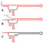 msDNA Synthesis