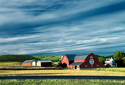 A farm in Muncy Township