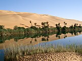Oasis in the Libyan part of the Sahara Desert.