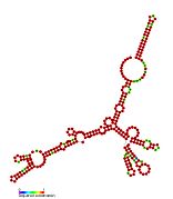 P17: Secondary structure taken from the Rfam database. Family RF01670