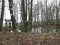 Ringhofer Teich am Panoramaweg