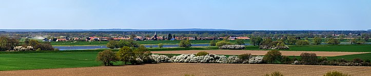 Schelldorf an der Elbe