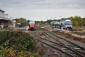 Französisch-deutsche Begegnung im Bahnhof Wissembourg