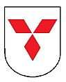 Braun (tarcza)